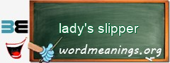 WordMeaning blackboard for lady's slipper